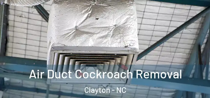  Air Duct Cockroach Removal Clayton - NC