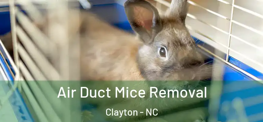  Air Duct Mice Removal Clayton - NC