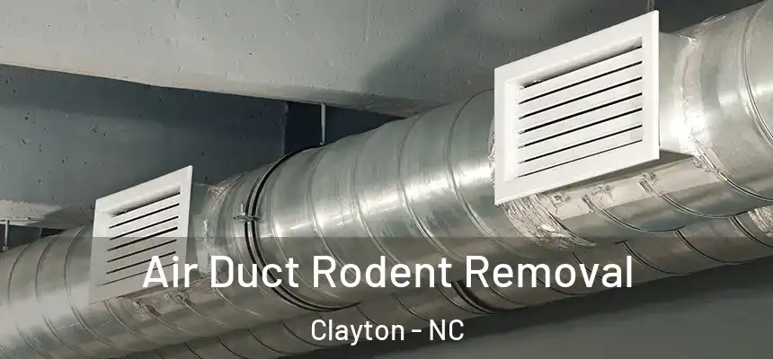  Air Duct Rodent Removal Clayton - NC