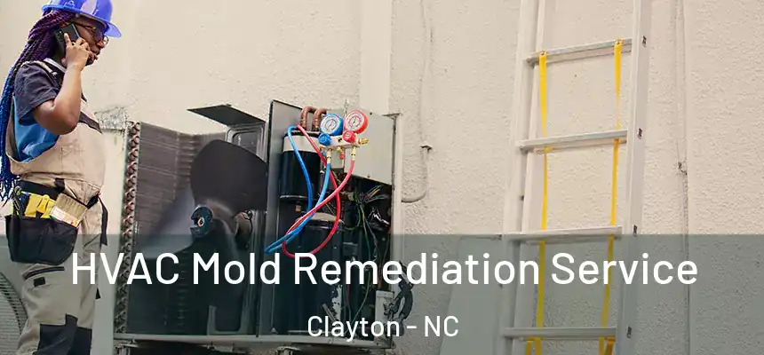  HVAC Mold Remediation Service Clayton - NC