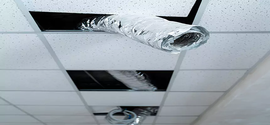 Our Air Duct Pet Hair Removal Services in Clayton, NC