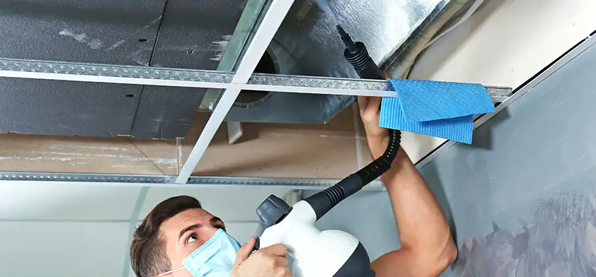 Our Air Duct Rodent Removal Services in Clayton, NC