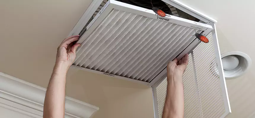 Our Insect Removal from Air Ducts Services in Clayton, NC