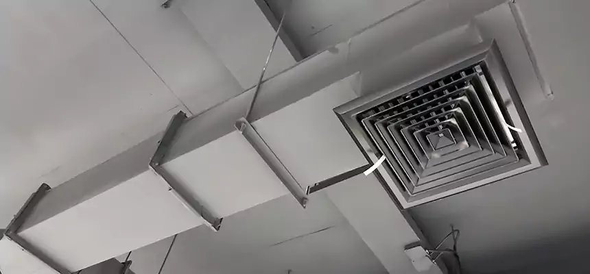 Our Rodent Droppings In Vents Services in Clayton, NC