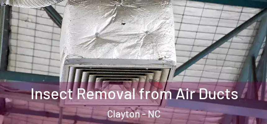  Insect Removal from Air Ducts Clayton - NC