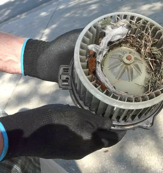 About Air Duct Mice Removal in Clayton, NC