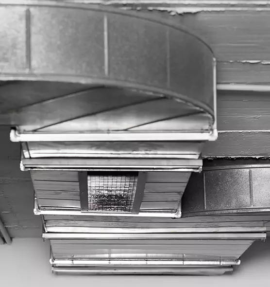 Professional Air Duct Pet Hair Removal in Clayton, NC