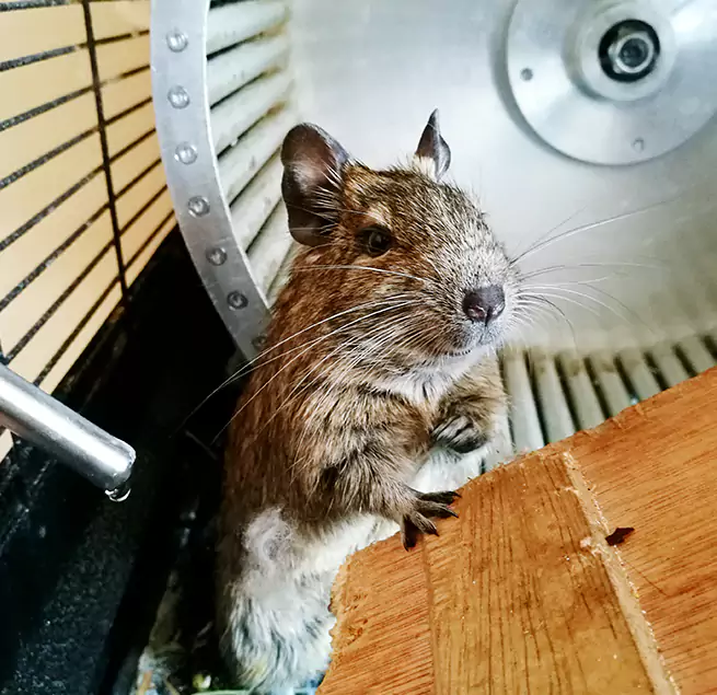 Why Homeowners & Businesses Trust Us Clayton, NC