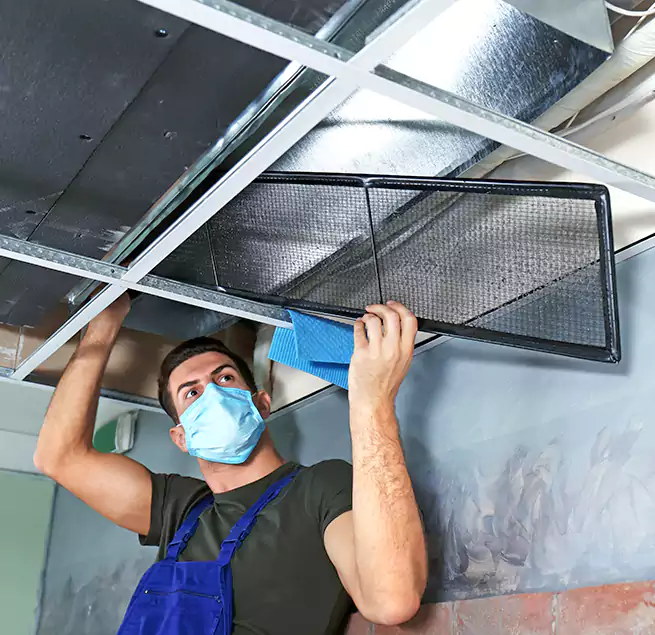 Why Homeowners Businesses Trust Us in Clayton, NC