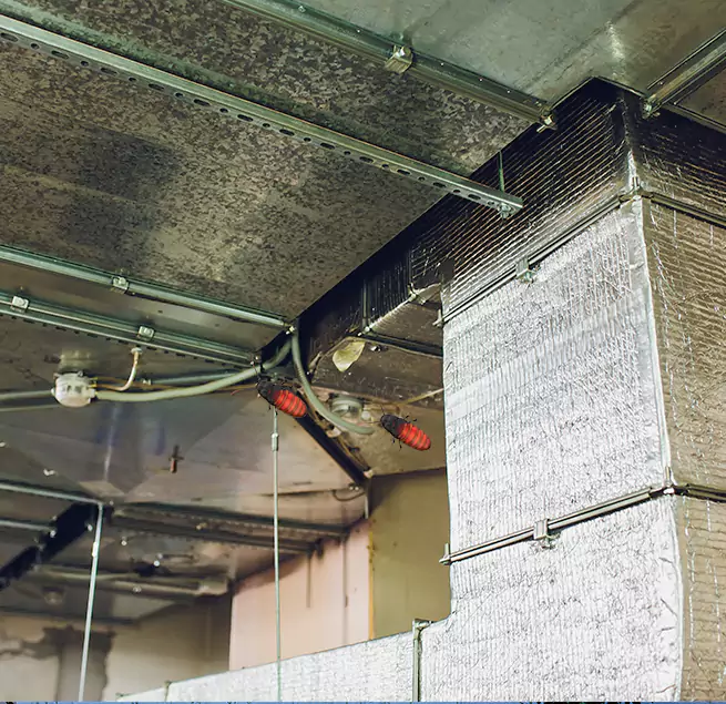 Why Homeowners & Businesses Trust Us Clayton, NC?