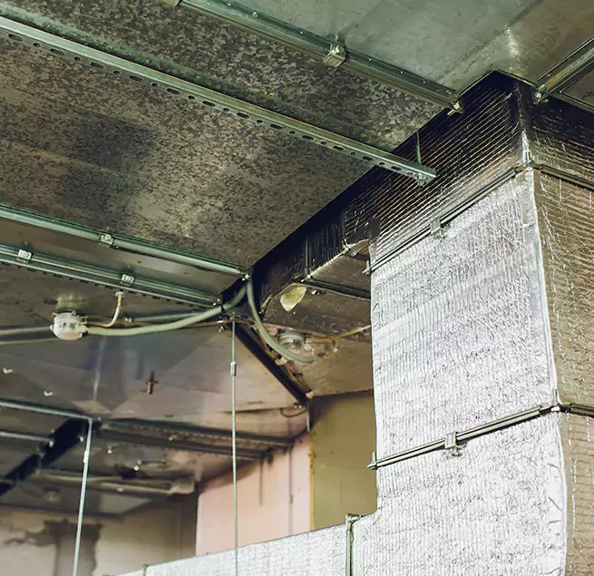 Why Homeowners & Businesses Trust Us in Clayton, NC?